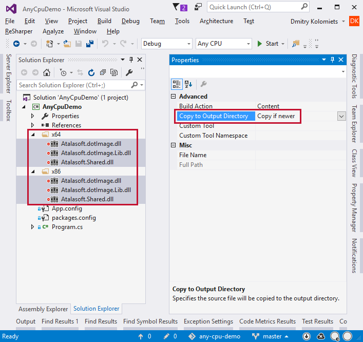 Copy assemblies to output folder